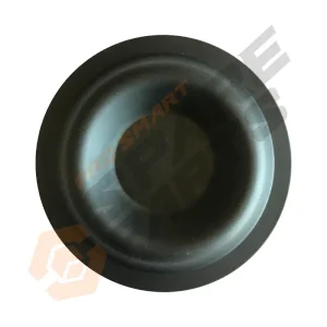 Diaphragm 09260298